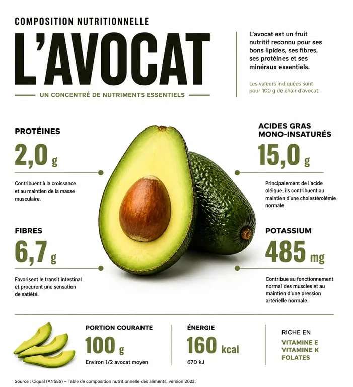 Infographie nutritionnelle montrant la quantité de protéines dans un avocat et ses bienfaits pour la santé