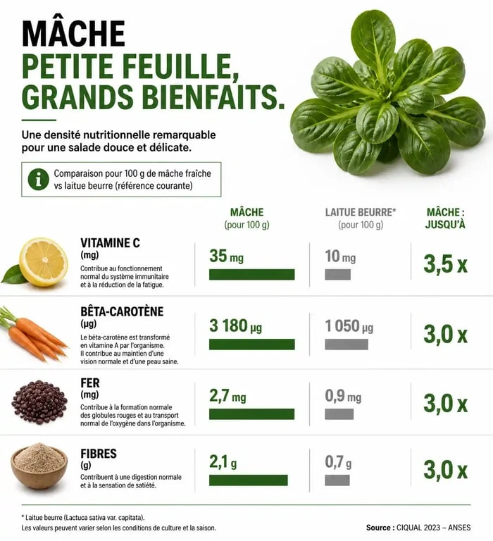 Infographie des bienfaits nutritionnels et vitamines de la mâche pour la santé