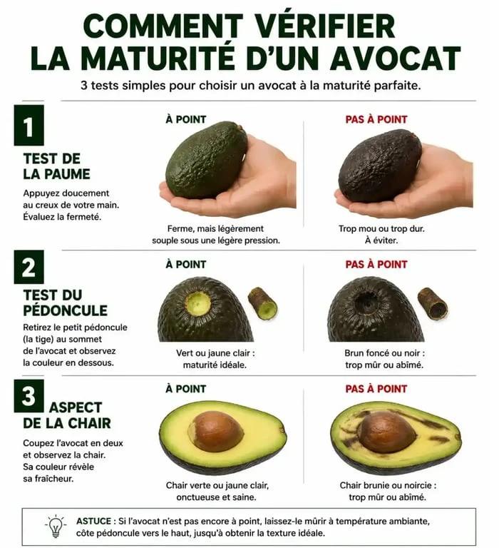 Infographie illustrant les signes pour savoir si un avocat est encore bon et consommable