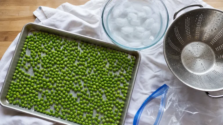 Congeler petit pois frais : petits pois verts sur plateau, eau glacée et passoire